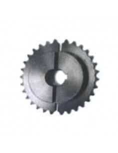 NZ30U-P08 PIÑON DE 30...
